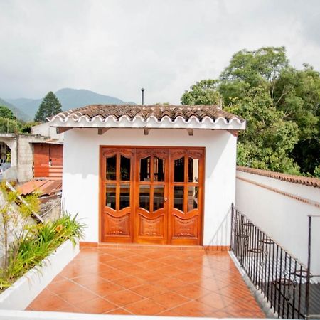 Green Belly Antigua Bagian luar foto