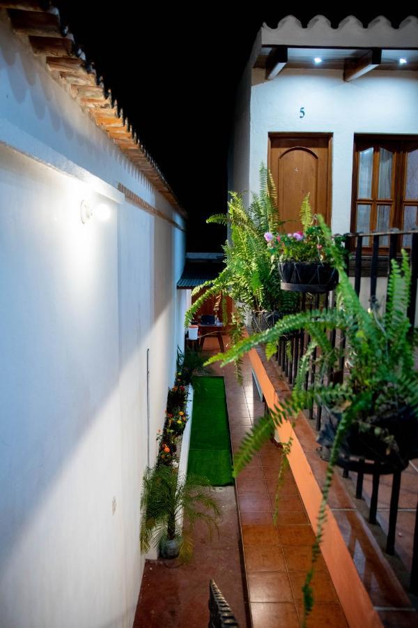 Green Belly Antigua Bagian luar foto